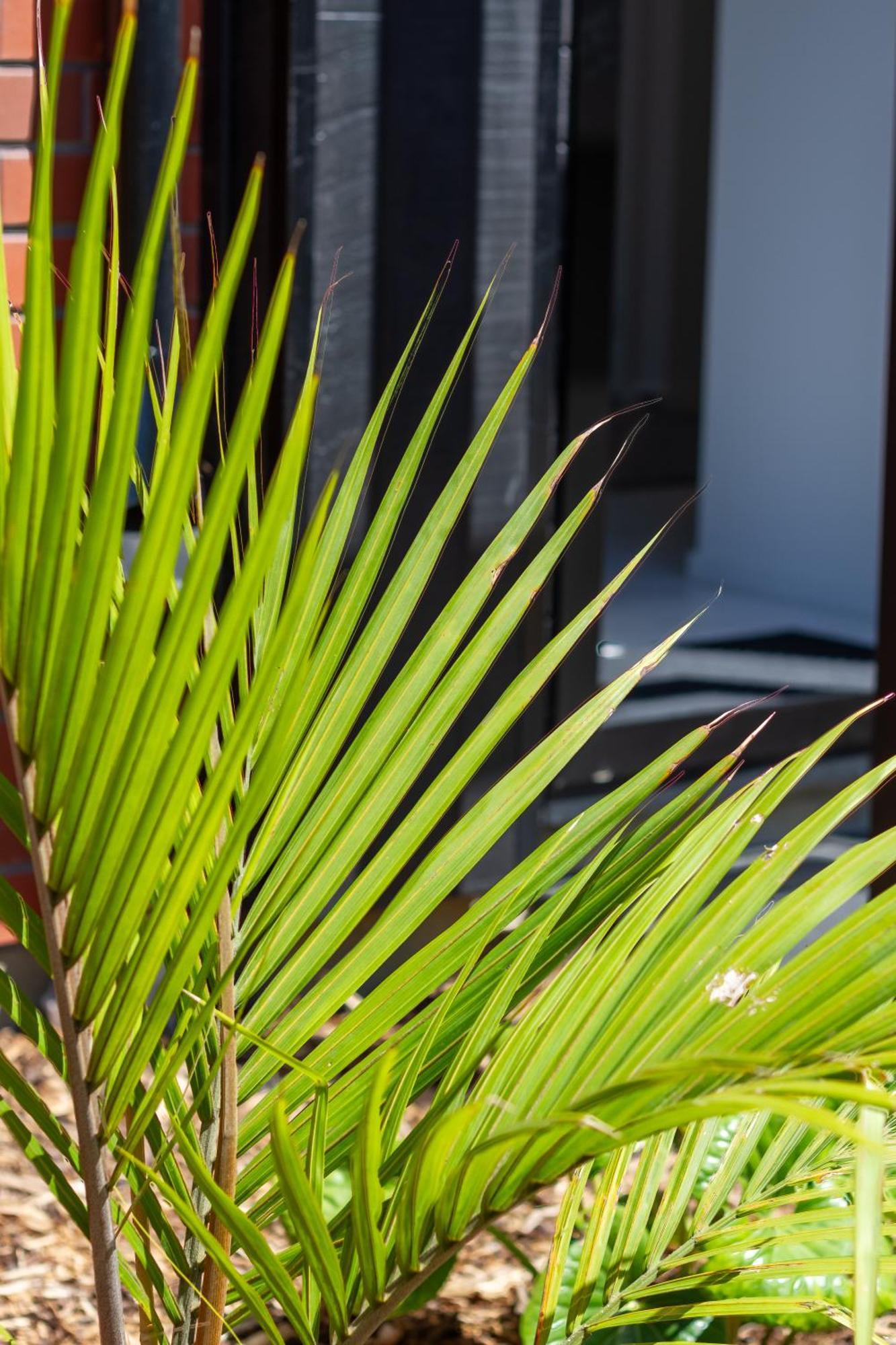 Apartmán Conveniently Located 2Br Townhouse In West Akl Auckland Exteriér fotografie